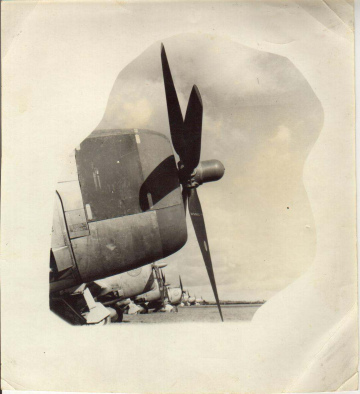 79th-FG-P-47-line-up.-Everly-J.-McGrath-collection-via-Joni-Coniglio