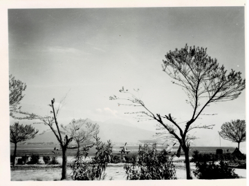 Likely-Mount-Vesuvius-in-background.-George-I.-Nadvornik-collection