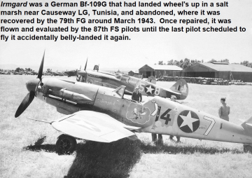 87th-FS-captured-Bf-109-named-Irmgard-with-86th-FS-P-40-in-background.-Project-914-Archives-S.-Donacik-collection
