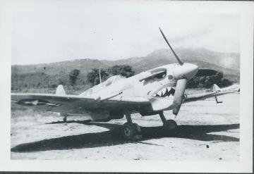 Spitfire.-Henry-O.-Tomlin-collection-via-Jeanette-Tomlin