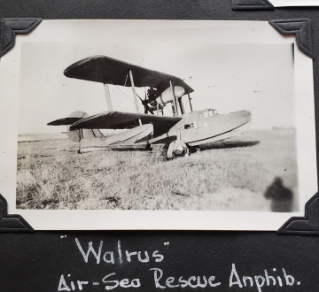 Walrus.-Joseph-Waldron-collection-via-his-family