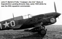 85th-FS-John-Martins-P-40L-named-Culpeper-Jinx-III-X10.-James-V.-Crow-photograph-via-Chet-Campbell
