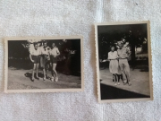 85th-FS-Harold-Fogg-collection-via-Gordon-Fogg-33