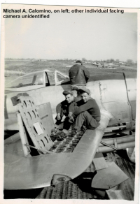 85th-FS-Michael-A.-Calomino-on-left-other-unidentified-on-P-47.-George-I.-Nadvornik-collection