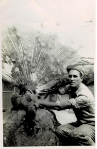 Unidentified-with-peacock.-George-I.-Nadvornik-collection