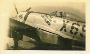 86th-FS-P-47-X65-THE-TROJAN-WARHORSE-via-Jean-Barbaud