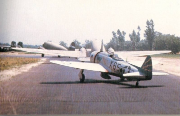 86th-FS-P-47-X65-possilby-THE-TROJAN-WARHORSE-via-Jean-Barbaud