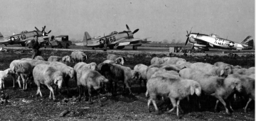 86th-FS-Richard-W.-Hilgards-P-47-X51-DEACON-DANDY-via-James-Hilgard