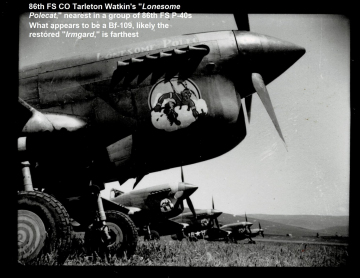 1_86th-FS-P-40s-in-line-up-with-LONESOME-POLECAT-personal-collection