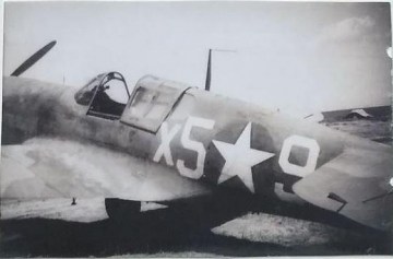 86th-FS-William-R.-Taylors-P-40F-X59.-William-R.-Taylor-collection-via-Elyn-Sulger
