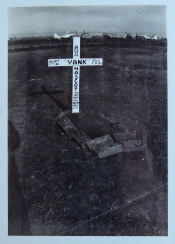 86th-FS-mascot-Yank-grave.-Edward-T.-Brooks-collection-via-Bob-Payette-and-Scott-Bricker