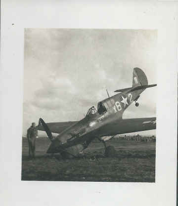 87th-FS-P-40-X82-named-STREAKY.-Henry-O.-Tomlin-collection-via-Jeanette-Tomlin