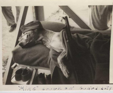 Guard-dog-Mike.-Chuck-Lankford-collection-via-his-family