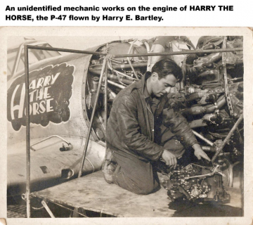 Unidentified-with-P-47-Harry-the-Horse.-Arden-Wollangk-collection-via-his-family