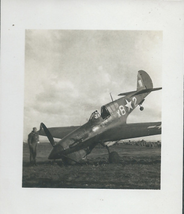 87th-FS-P-40-X82-named-STREAKY.-Henry-O.-Tomlin-collection-via-Jeanette-Tomlin