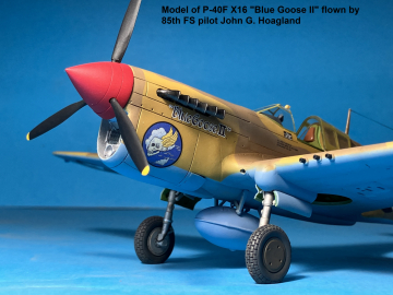 48th-scale-Eduard-conversion-of-85th-FS-John-Hoaglands-P-40F-Blue-Goose-II-5
