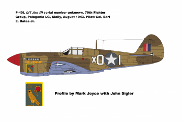 79th-FG-P-40L-Lil-Joe-III