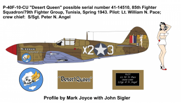 85th-FS-P-40-Desert-Queen-finished-Copy