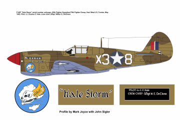 85th-FS-P-40-Hale-Storm-Copy