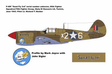 85th-FS-P-40F-Sand-Fly-3rd