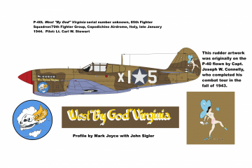 85th-FS-P-40L-West-By-God-Virginia