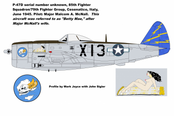 85th-FS-P-47-Betty-Mae-at-Cesenatico
