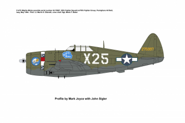85th-FS-P-47-Mighty-Minka-Copy