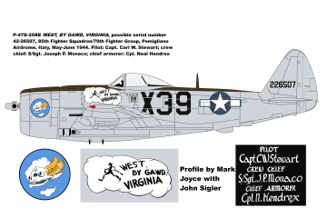 85th-FS-P-47-West-By-Gawd-Virginia