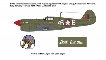 86th-FS-Basil-Blair-P-40L-with-red-surround-Copy
