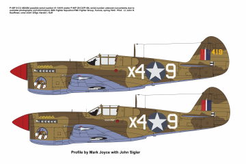 86th-FS-P-40-ABABA2