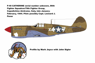 86th-FS-P-40-Catherine