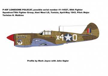 86th-FS-P-40-Lonesome-Polecat