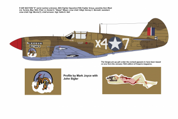 86th-FS-P-40-Section-8-with-placard-Copy