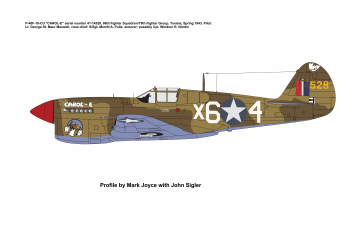 86th-FS-P-40F-CAROL-E