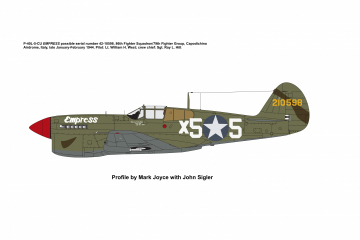 86th-FS-P-40L-Empress-Copy