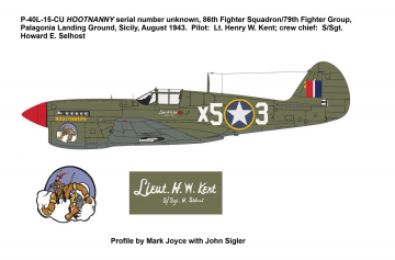 86th-FS-P-40L-Hootnanny-final-copy-Copy