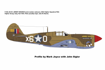 86th-FS-P-40L-Jersey-Bounce