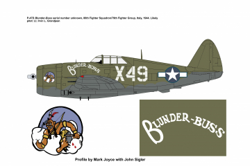 86th-FS-P-47-Blunder-buss-Copy