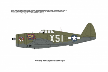 86th-FS-P-47-DEACON-DANDY