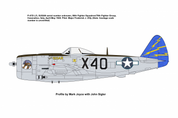86th-FS-P-47-LIL-SUSAN-without-canopy-mirror