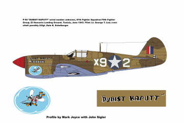 87th-FS-P-40-Dubist-Kaputt