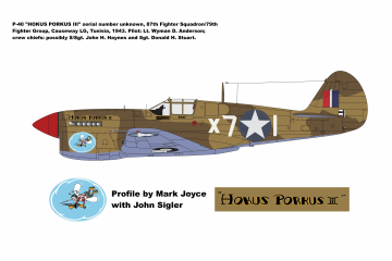 87th-FS-P-40-Hokus-Porkus-III