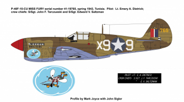 87th-FS-P-40-Miss-Fury-finished-Copy