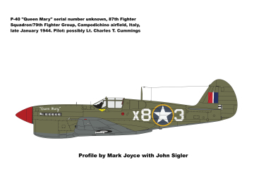 87th-FS-P-40-Queen-Mary