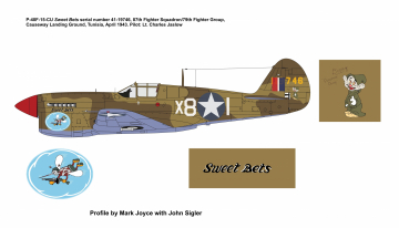 87th-FS-P-40F-Sweet-Bets-completed-use-this-one-Copy