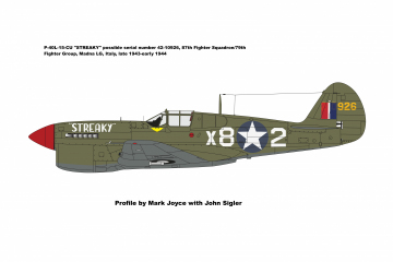 87th-FS-P-40L-X82-Streaky