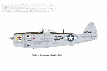 87th-FS-P-47-10-Grand-Thunderbolt-Copy