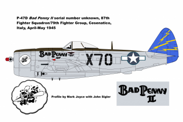 87th-FS-P-47-Bad-Penny-II
