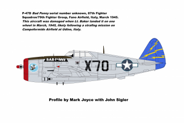 87th-FS-P-47-Bad-Penny