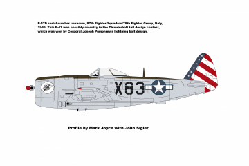 87th-FS-P-47-X83-with-unique-tail